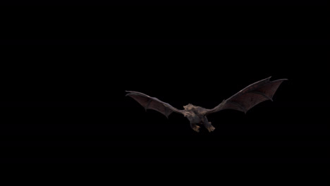 Realistic-dragon-flying-towards-the-camera-on-black-background