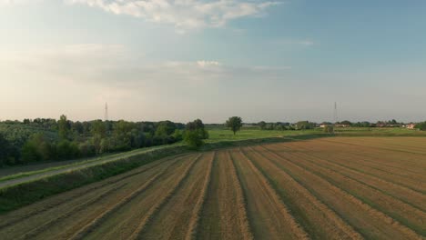 Antena-4k:-Toma-Cinematográfica-Volando-Hacia-Atrás-Sobre-Un-Campo-De-Alfalfa-Al-Atardecer