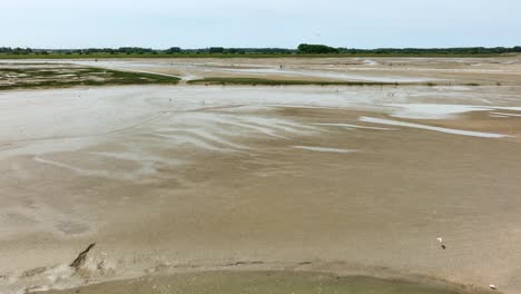 lago y río que fluye a través del paisaje de pólder verde en los países bajos y la frontera con bélgica, reserva natural het zwin
