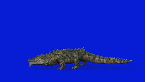 crocodille attack, side view seamless loop, blue screen chromakey