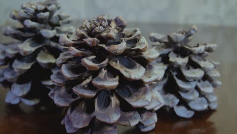 giant cones on a wooden table