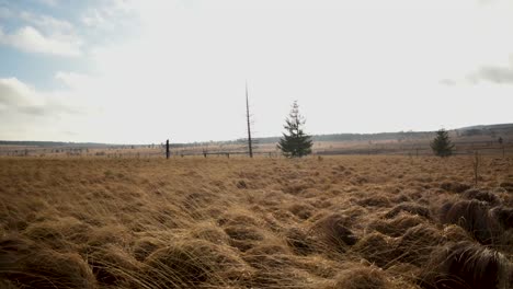 Daytime-timelapse-of-moorland-in-cloudy-and-windy-day-with-beautiful-sunshine