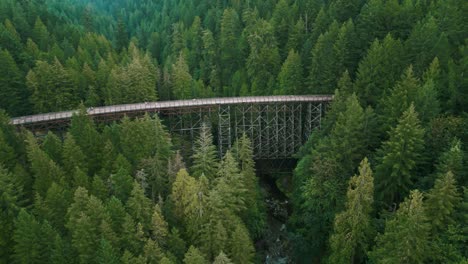 aerial shot aournd kinsol trestle bridge above koksilah river between cowichan and victoria on vancouver island on an overcast day, british columbia, canada