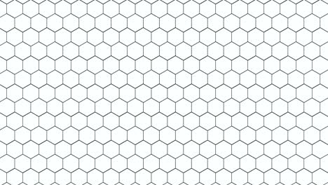 white honeycomb