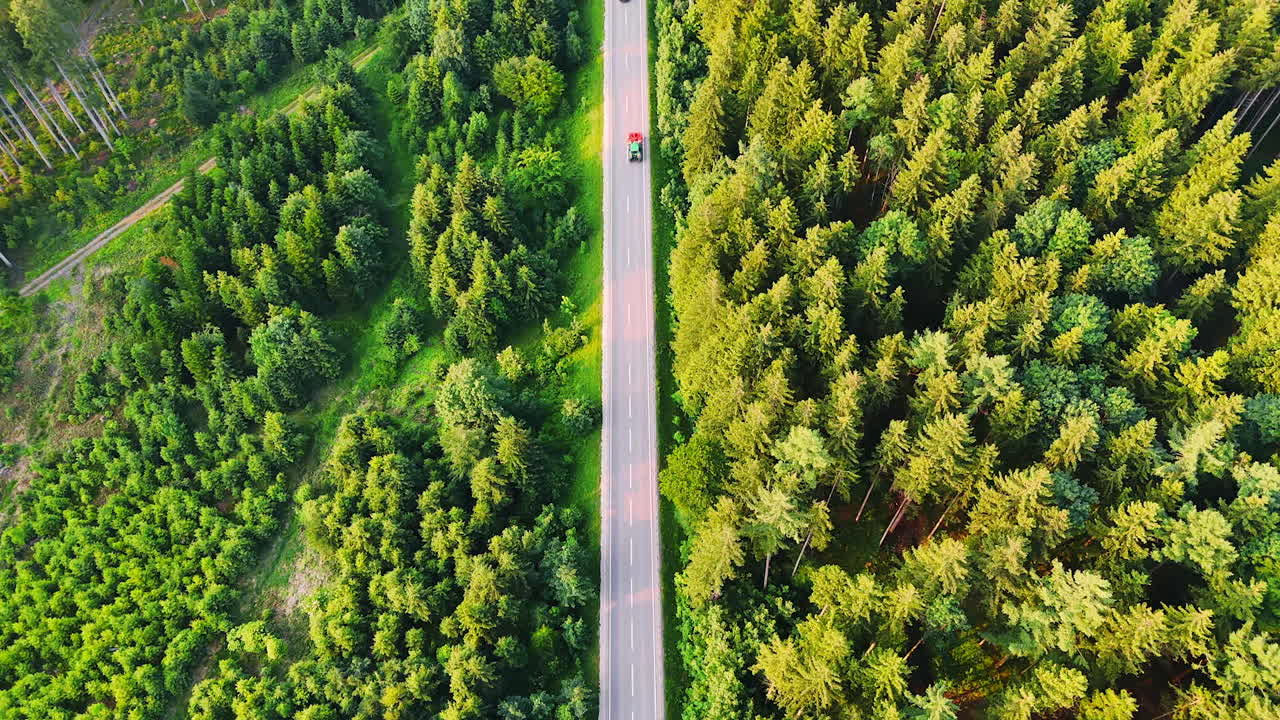 Few cars ride by the two-lane highway in the pine tree wood. Drone flight over the forest on a sunny summer day