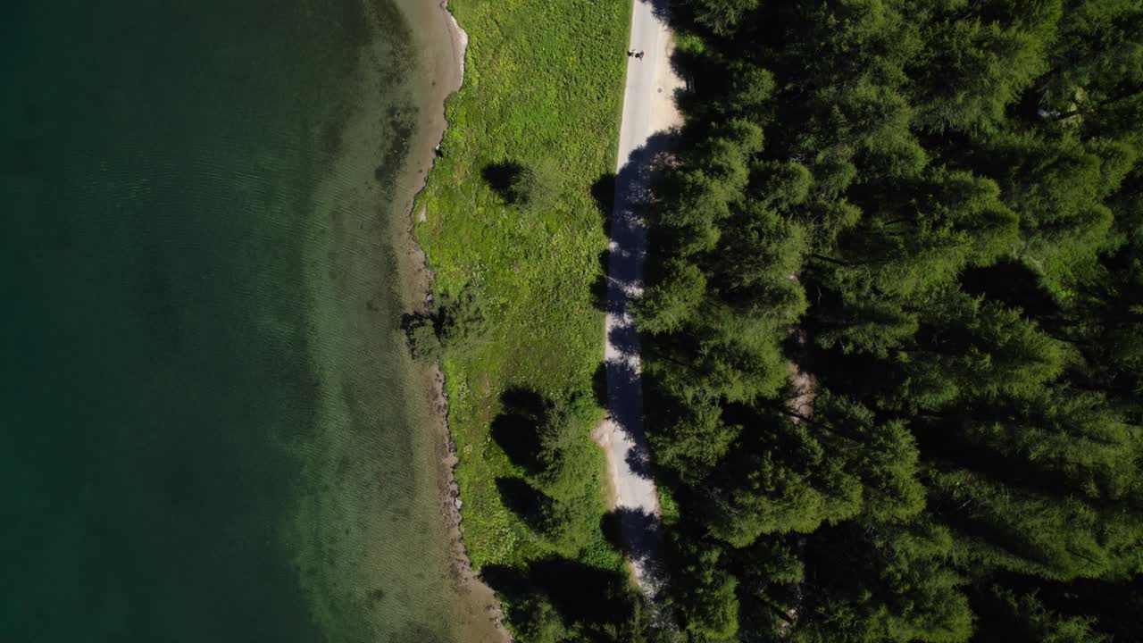 실바플라나 호수 옆에 있는 해안선과 나무 위로 날아가는 공중 조감도