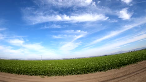 driving through a long stretch of california's farmland in castroville, california