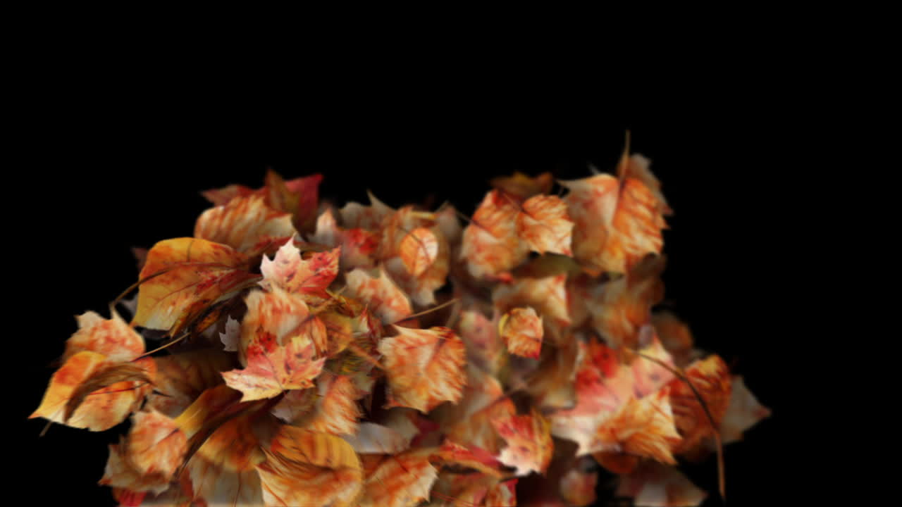 Autumn Leaves Transition on black background - Leaf Particles Reveal Element