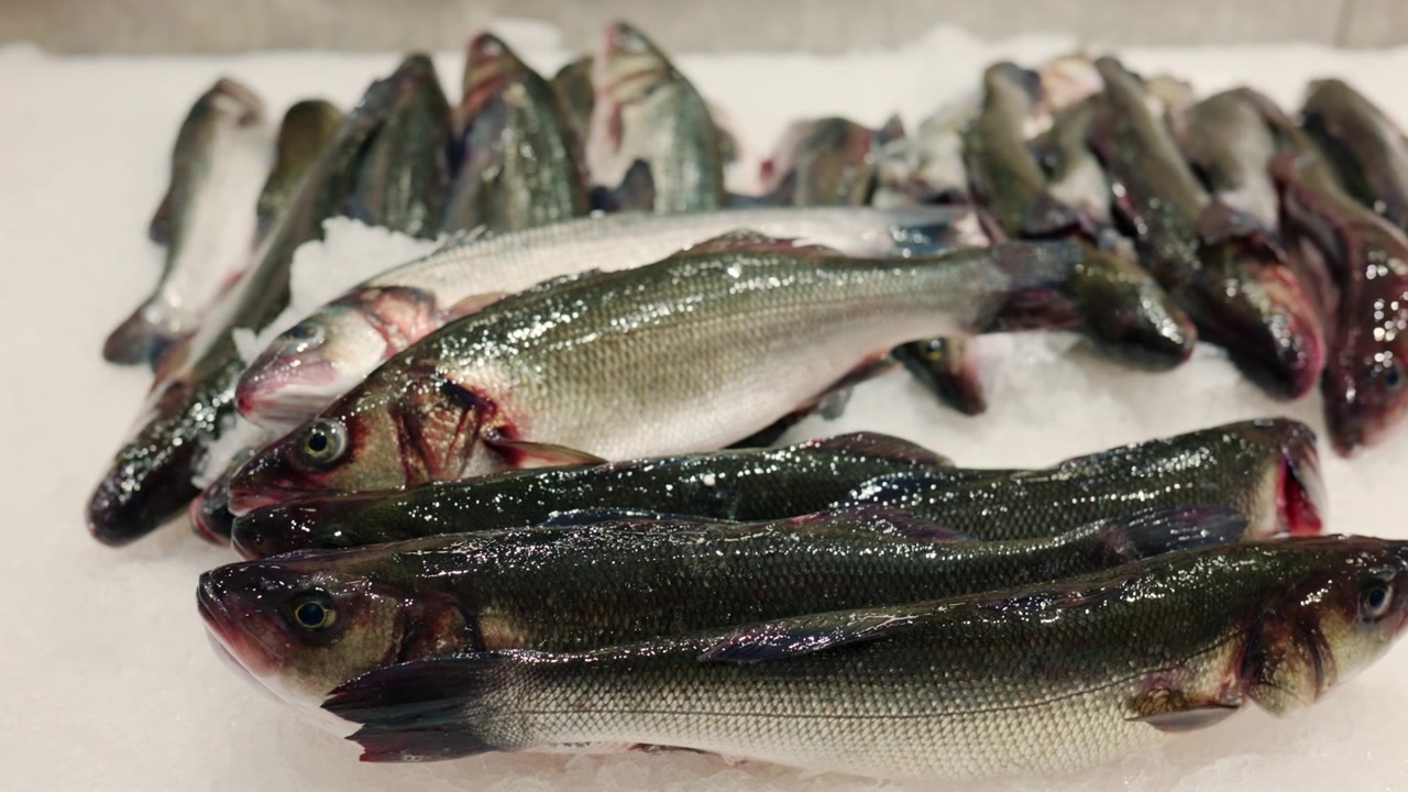 Whole fresh sea bass fish displayed on a bed of ice, ready for sale at a seafood market or fish counter
