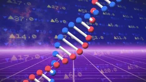 Animation-of-dna-strand-spinning-and-medical-data-processing