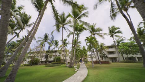 Tourist-complex-among-palm-trees