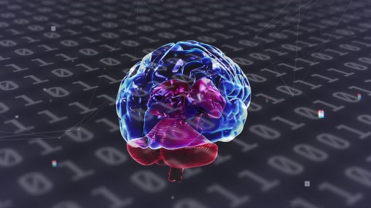 Digital animation of human brain spinning against binary coding data processing on grey background