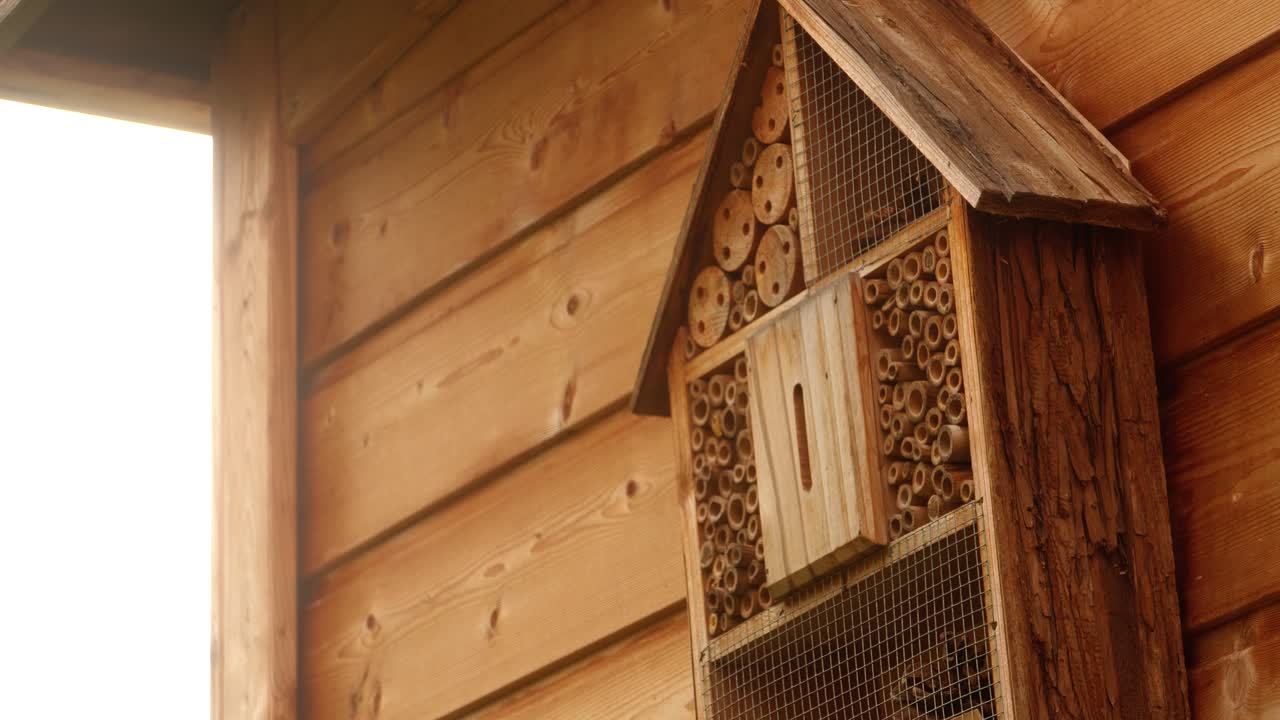 벌이 정원 창고에 매달린 곤충 호텔로 날아갑니다.