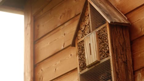 a bee flies into an insect hotel hanging on a garden shed