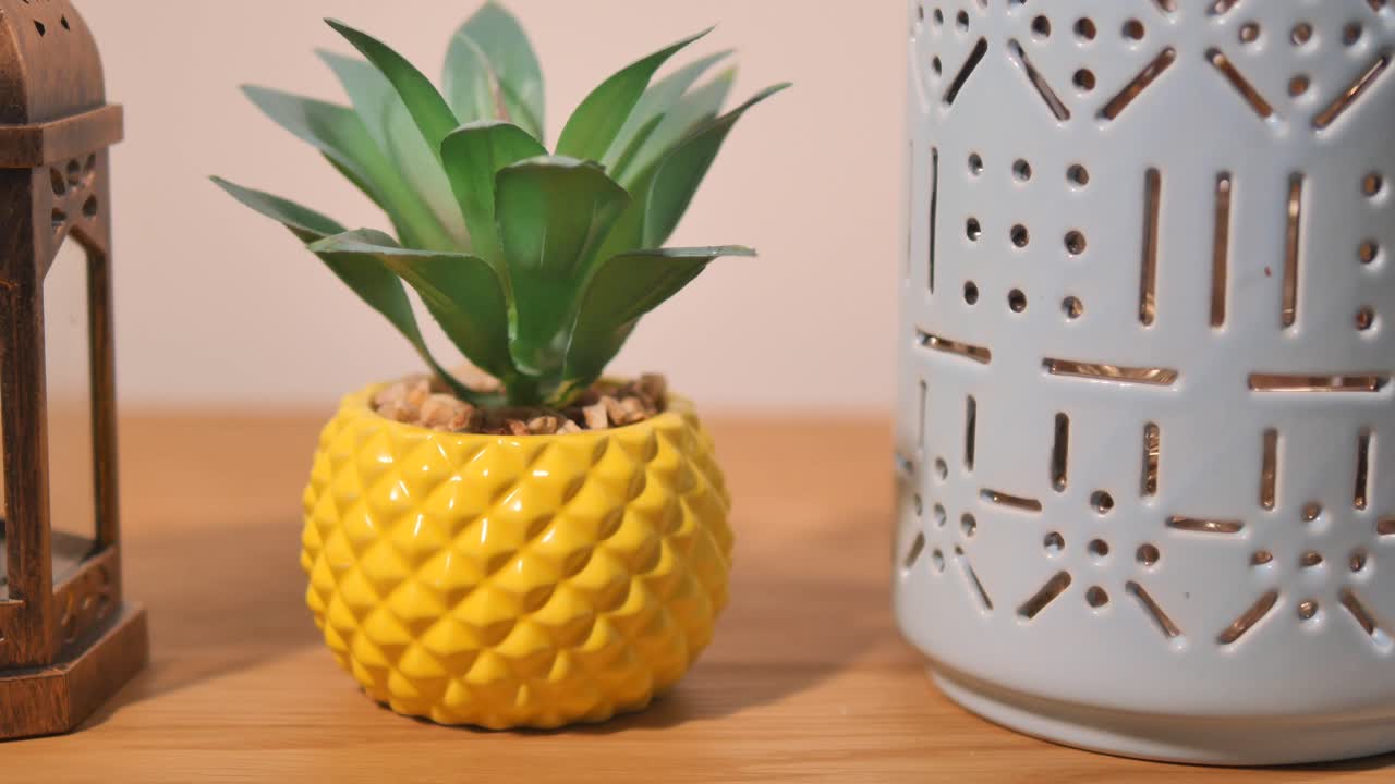Pineapple Plant and Lanterns on Wooden Table