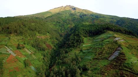 Amplia-Toma-Aérea-Del-Hermoso-Monte-Suming-Con-Coloridos-Campos-De-Plantación-Y-Bosque-En-Pendiente