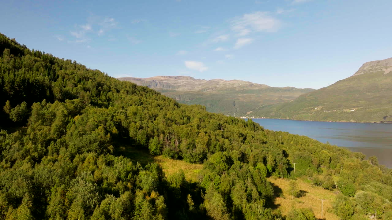 노르웨이 트롬스 카운티의 그라탄겐에서 은 여름날에 푸른 숲이 인 산과 피오르드.