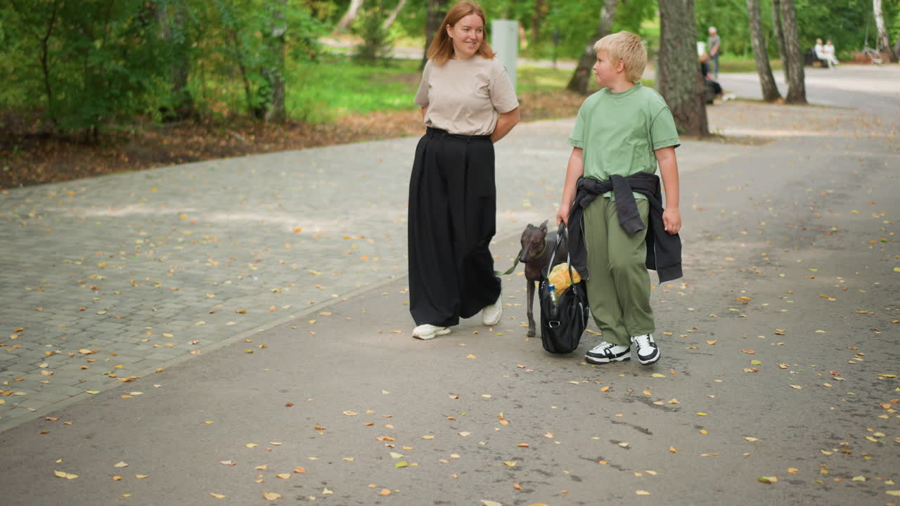 Woman And Boy Having Cheerful Park Adventure, Woman And Young Child Enjoying Joyful Time In Park With Dog, Woman And Young Boy Sharing Happiness While Playing In Park With Their Dog