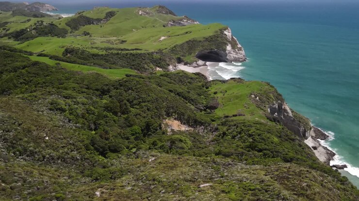 Incredibile paesaggio costiero dell'Isola del Sud, Nuova Zelanda