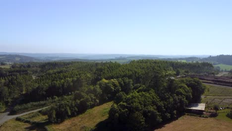 Rise-On-Greenery-Dense-Trees-In-Countryside-Landscape-During-Misty-Morning