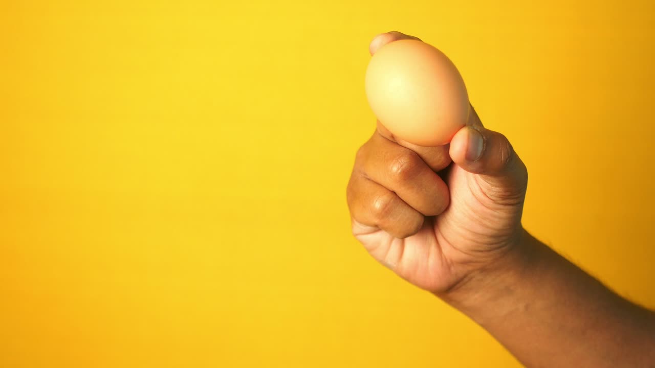 Person holding an egg