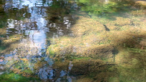 Agua-Corriente-Sobre-Lecho-De-Río-Cubierto-De-Musgo