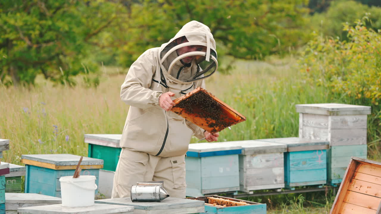 Apiculturist in protective clothes and hat looks carefully at the honey frame. Beekeeper examining the honey harvest.