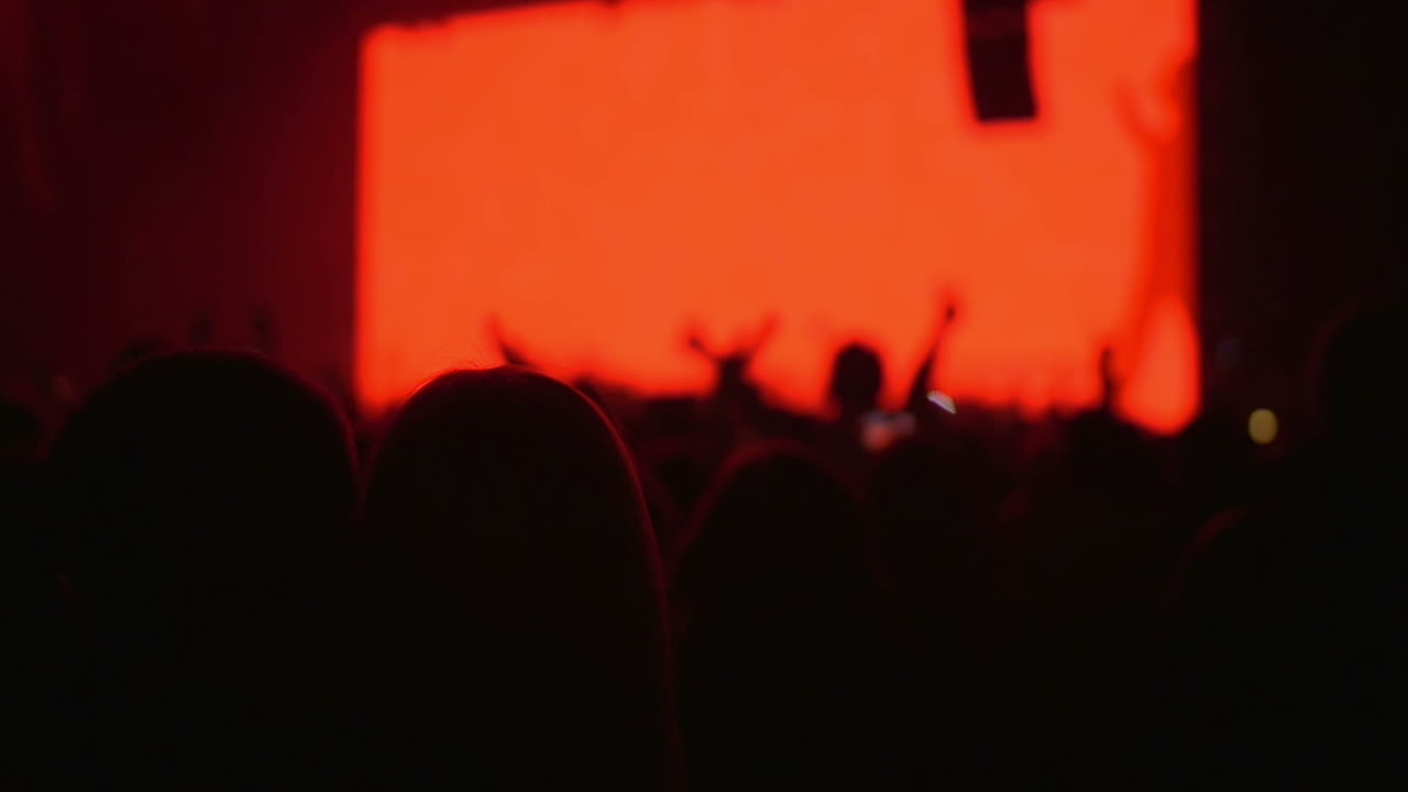Persone in piedi al concerto