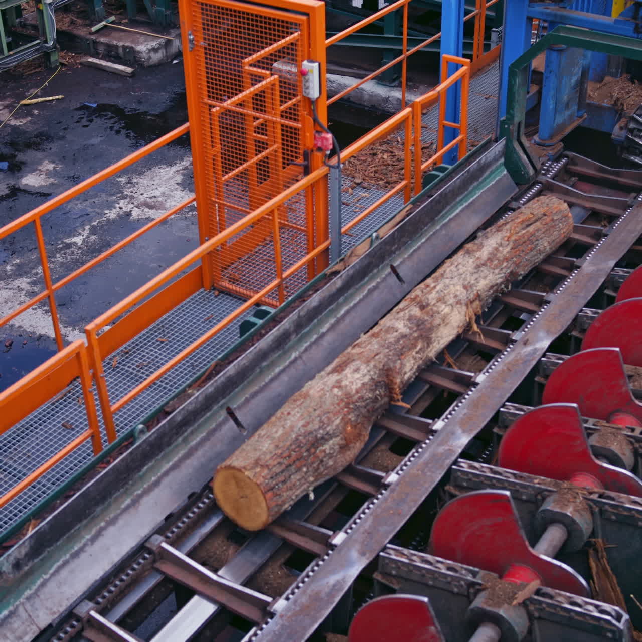 Power-saw bench. Wooden log is moving on a conveyor line on a sawmill. Process of machining logs in the sawmill machine on industrial plant.