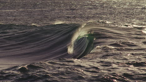 sunset light hits large curling wave, golden tones glisten off textured crest in slow motion
