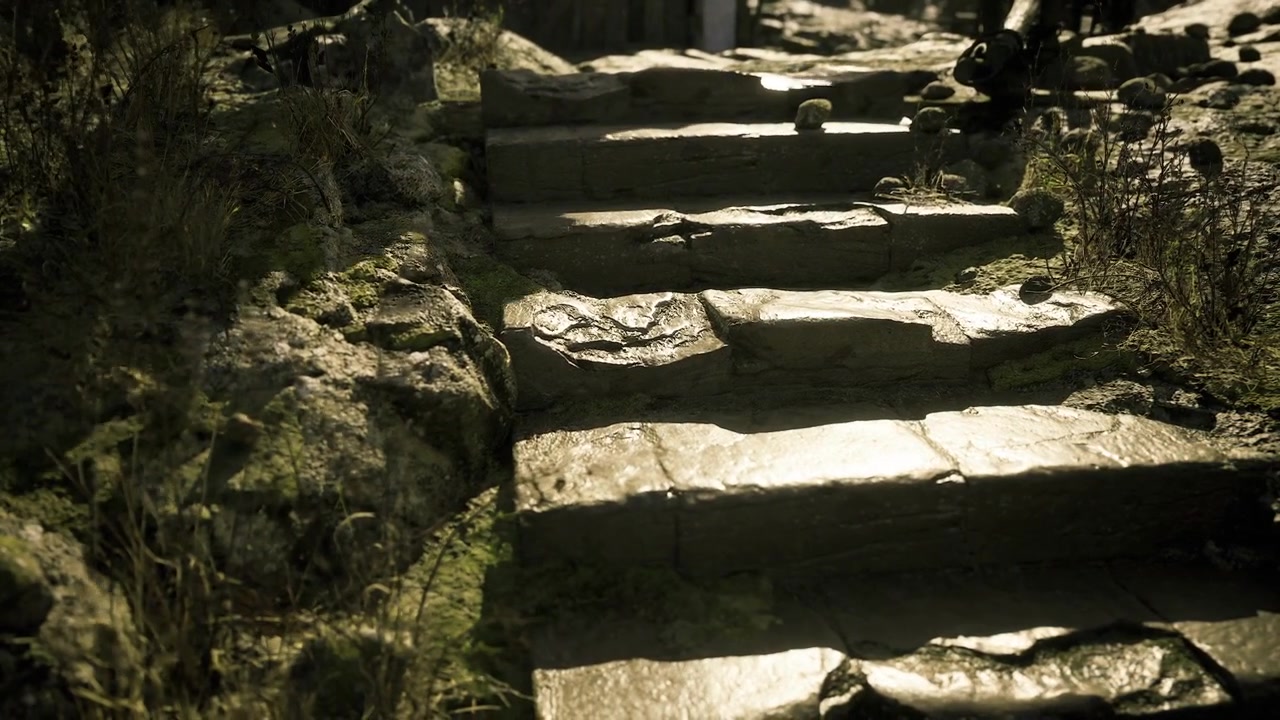 Serene woodland staircase quiet stone steps weaving through verdant forest