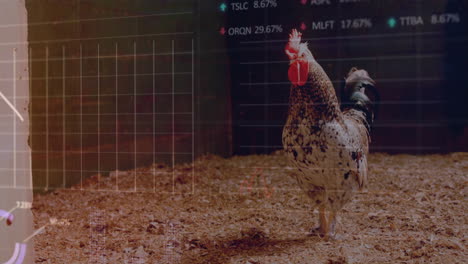 3d-rendered rooster perching on wood shavings while financial charts and tickers overlaying barn
