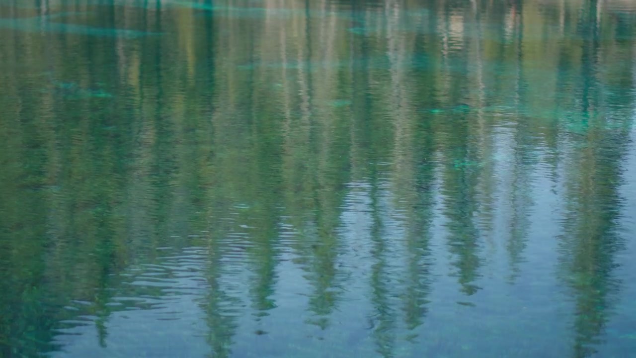 Pine trees reflecting in a turquoise waters of Grassi Lakes in Canada