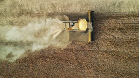 in wisconsin, a combine cuts and collects the soybean harvest