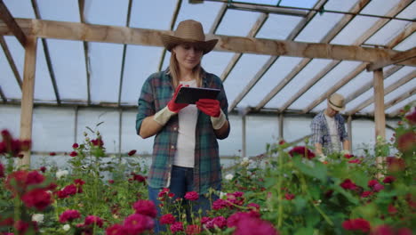 Worker-with-tablet-near-rose-in-greenhouse.-Two-Beautiful-young-smiling-girl-and-man-worker-with-tablet-near-rose-in-greenhouse.-Concept