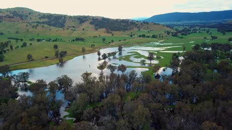 slow moving aerial footage of the swollen floodplains of the mitta mitta river near where it enters lake hume, in north-east victoria, australia