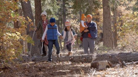 Padres-Con-Hijos-Disfrutando-De-Una-Caminata-Juntos-En-Un-Bosque.