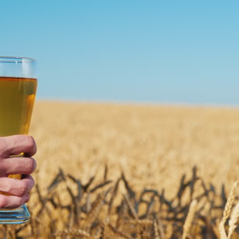 la mano de los hombres sostiene un vaso de cerveza ligera en un campo de trigo en un día de verano 1