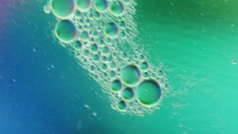 animation of bubbles moving on blue background with copy space