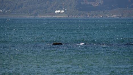 Rocas-Que-Aparecen-Durante-La-Marea-Baja-En-La-Playa-De-Marazion,-En-Mount-Bay