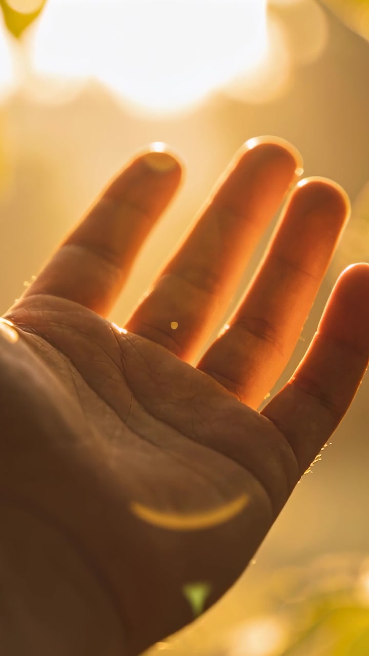 Video vertical: Mano de adulto girando mientras el sol brilla en el parque, capturando anillos de destello de lente.