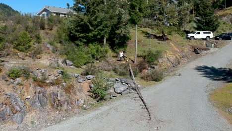 man falling small tree in subdivision, front shot with drone