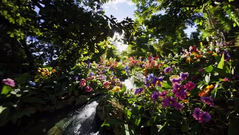 enchanted flower stream garden