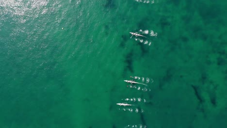 4K aerial view of rowing boats in the sea start of a rowing race.