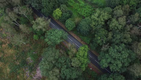 Top-down-drone-shot-descending-on-a-country-road-surrounded-by-forest