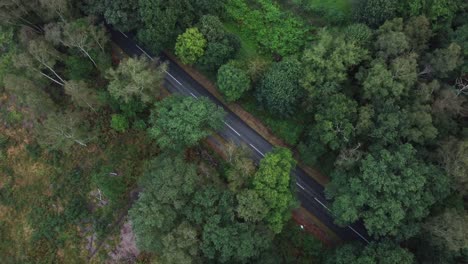disparo de drones de arriba hacia abajo descendiendo por un camino rural rodeado de bosque