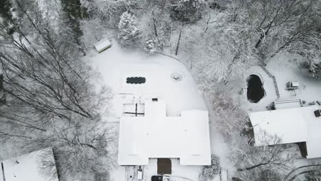 inclinándose hacia bosques cubiertos de nieve fresca en polvo.