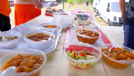 multiple dishes of stew and goulash served in plastic containers