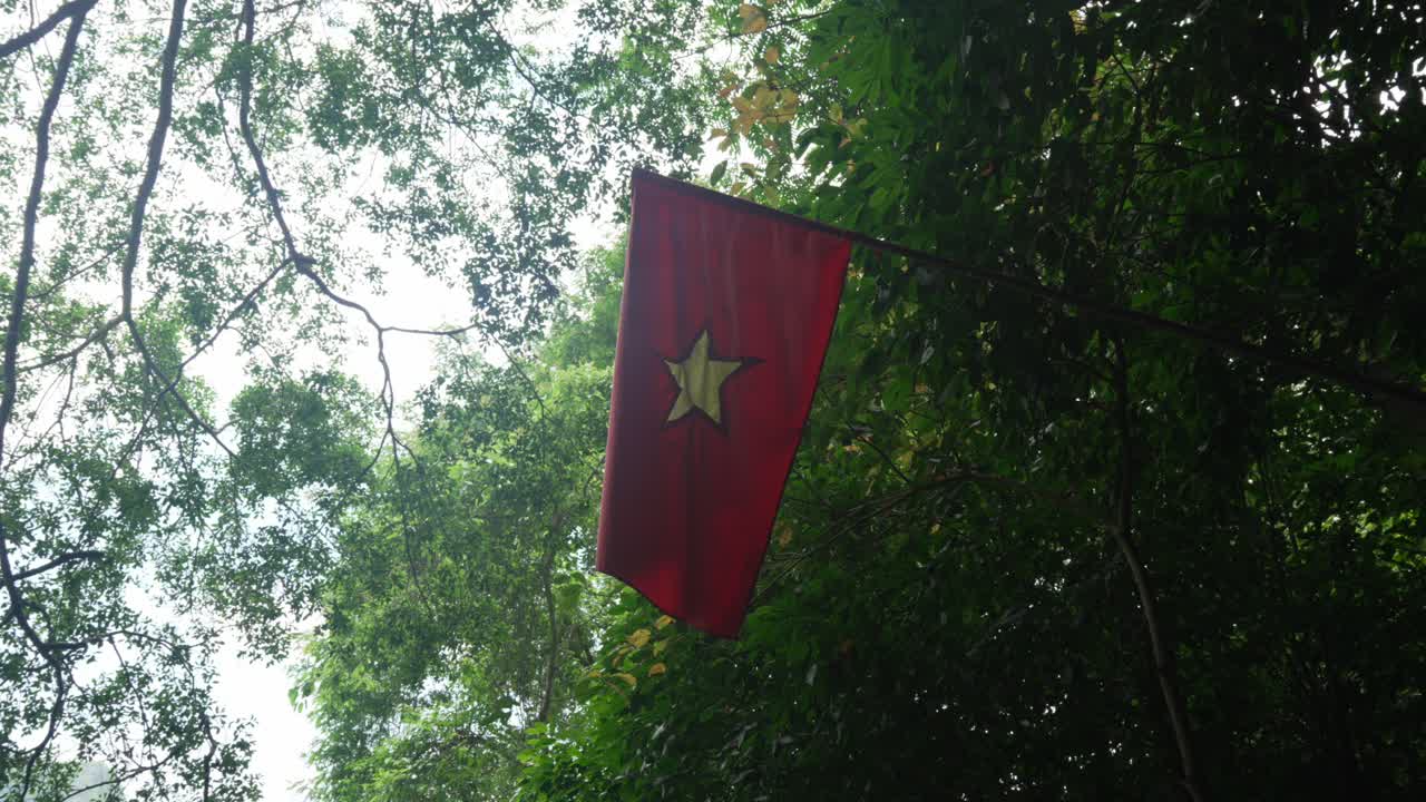 Vietnam country flag yellow star red background inside forest Southeast Asia jungle canopy