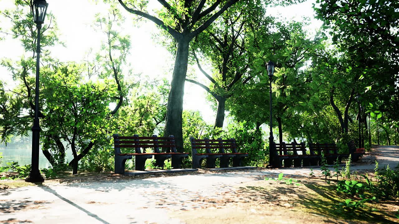 ベンチが並ぶ穏やかな公園の小道